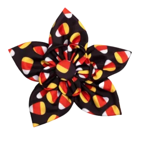 Collar Flower | Candy Corn