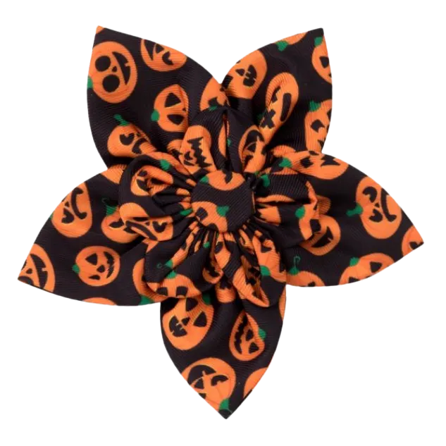 Collar Flower | Jack-O-Lanterns