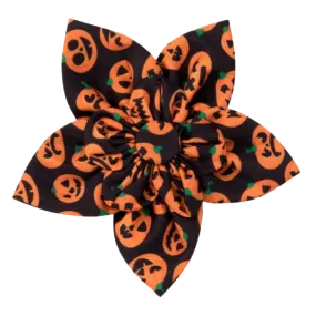 Collar Flower | Jack-O-Lanterns